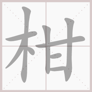 柑的笔顺,柑字笔顺