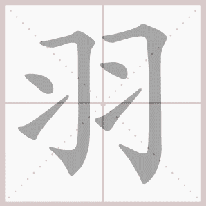 羽的笔顺,羽字笔顺