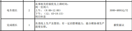 广西宏润玩具有限公司招聘电动组长,完成组长